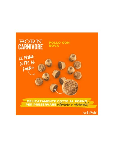 SCHESIR Born Carnivore Pollo & Uovo Gr.255-Cibo secco per gatti .