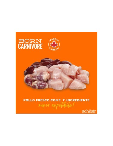 SCHESIR Born Carnivore Baby Pollo & Uovo kg 1,250. Cibo Secco Per Gatti