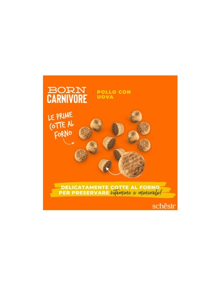 SCHESIR Born Carnivore Baby Pollo & Uovo kg 1,250. Cibo Secco Per Gatti