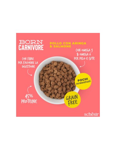 SCHESIR Born Carnivore Pollo con Aringa & Salmone Gr.255. Cibo Secco Per Gatti .