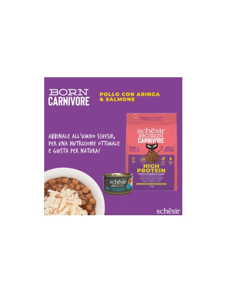 SCHESIR Born Carnivore Pollo con Aringa & Salmone kg 1,250 . Cibo Secco Per Gatti
