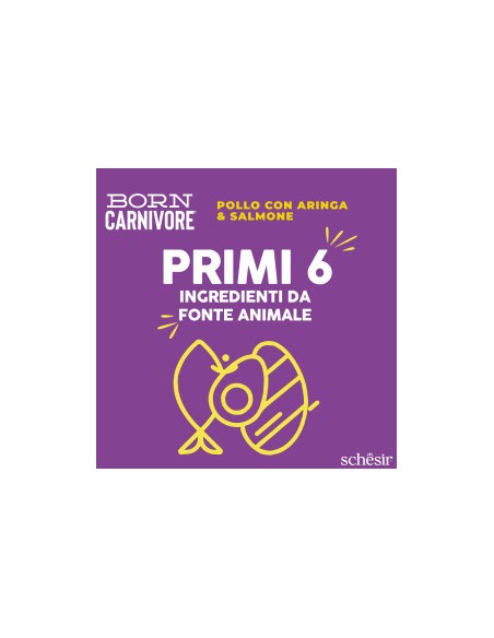 SCHESIR Born Carnivore Pollo con Aringa & Salmone kg 1,250 . Cibo Secco Per Gatti