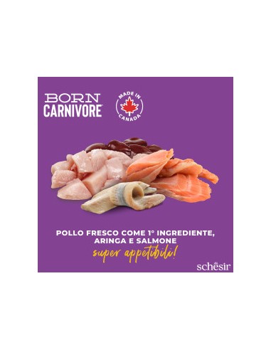 SCHESIR Born Carnivore Pollo con Aringa & Salmone kg 1,250 . Cibo Secco Per Gatti