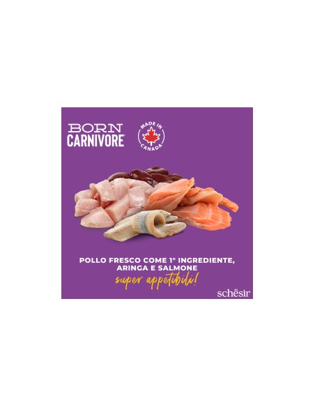 SCHESIR Born Carnivore Pollo con Aringa & Salmone kg 1,250 . Cibo Secco Per Gatti
