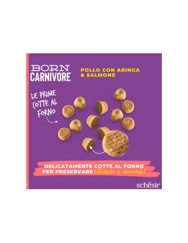SCHESIR Born Carnivore Pollo con Aringa & Salmone kg 1,250 . Cibo Secco Per Gatti