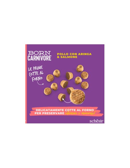 SCHESIR Born Carnivore Pollo con Aringa & Salmone kg 1,250 . Cibo Secco Per Gatti