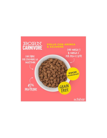 SCHESIR Born Carnivore Pollo con Aringa & Salmone kg 1,250 . Cibo Secco Per Gatti