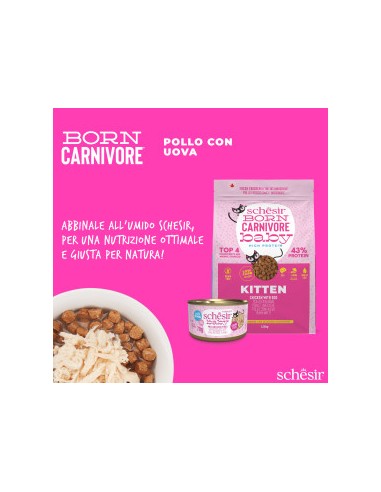 Schesir  Born Carnivore Baby Pollo e Uova Gr.255. Cibo Secco per Gatti.