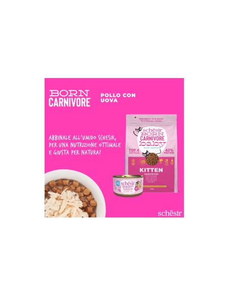 Schesir  Born Carnivore Baby Pollo e Uova Gr.255. Cibo Secco per Gatti.