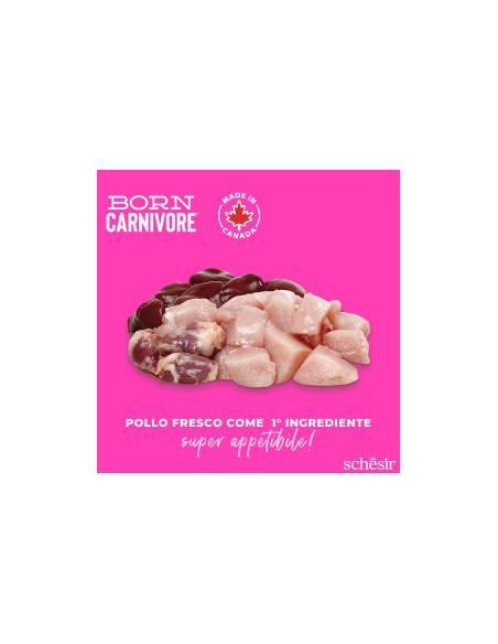 Schesir  Born Carnivore Baby Pollo e Uova Gr.255. Cibo Secco per Gatti.
