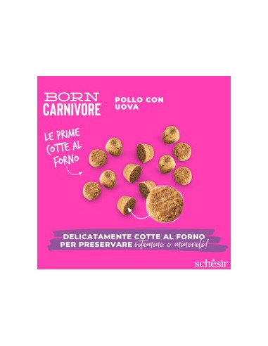 Schesir  Born Carnivore Baby Pollo e Uova Gr.255. Cibo Secco per Gatti.