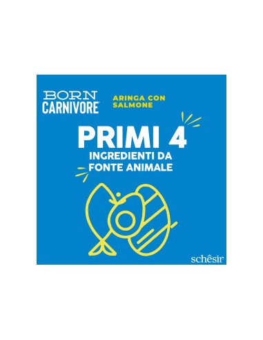 SCHESIR Born Carnivore Aringa & Salmone Gr.255.Cibo Secco Per Gatti.