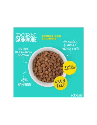 SCHESIR Born Carnivore Aringa & Salmone Gr.255.Cibo Secco Per Gatti.