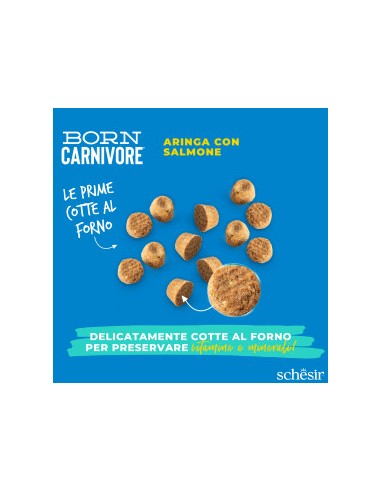 SCHESIR Born Carnivore Aringa & Salmone kg. 1,250 .Cibo Secco Per Gatti