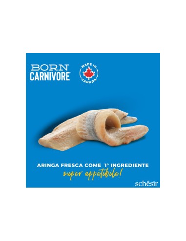 SCHESIR Born Carnivore Aringa & Salmone kg. 1,250 .Cibo Secco Per Gatti