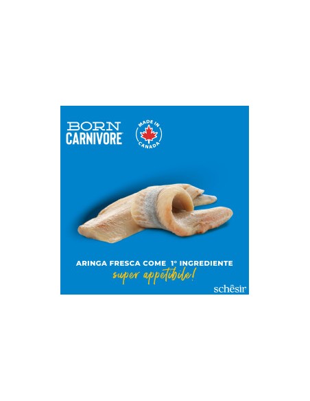 SCHESIR Born Carnivore Aringa & Salmone kg. 1,250 .Cibo Secco Per Gatti
