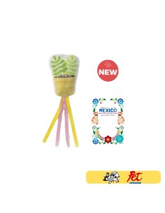 Gioco Gatto Felce Nastrini. Giochi Per Gatti 2