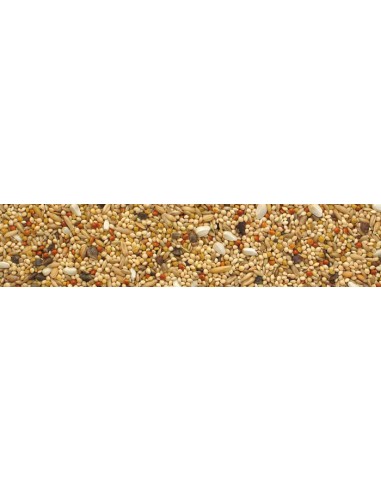 Agapornis Parrocchetti kg 1. Mangime Per Uccelli.