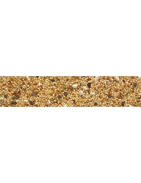 Agapornis Parrocchetti kg 1. Mangime Per Uccelli.