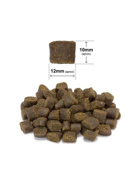 Arquivet Fresh Free Farm Poultry kg 10. Crocchette Per Cani