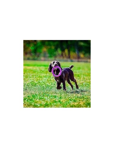 Gioco Set 2 Anelli Puller Medio. Giochi Per Cani .