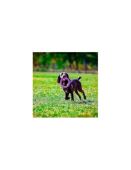 Gioco Set 2 Anelli Puller Medio. Giochi Per Cani .