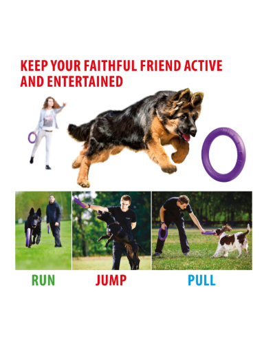 Gioco Set 2 Anelli Puller mini. Giochi per Cani