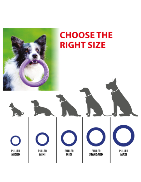 Gioco Set Anelli Puller Standar . Giochi per Cani.