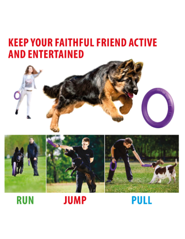 Gioco Set Anelli Puller Standar . Giochi per Cani.