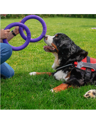 Gioco Set Anelli Puller Standar . Giochi per Cani.