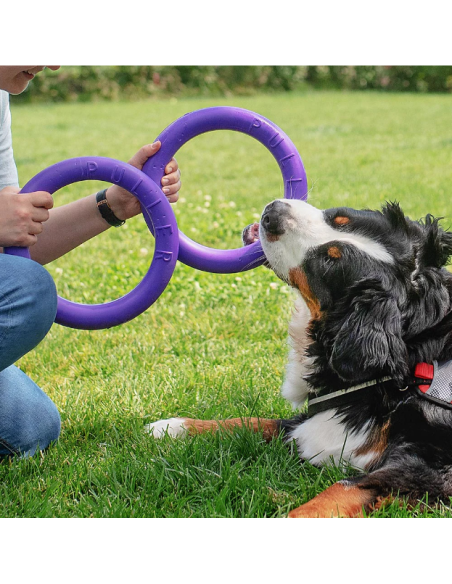 Gioco Set Anelli Puller Standar . Giochi per Cani.