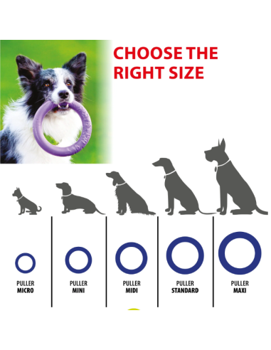 Gioco Set 2 Anelli Puller Maxi. Giochi Per Cani .