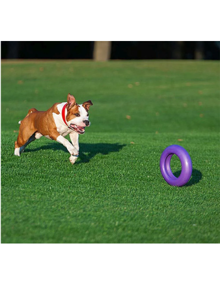 Gioco Set 2 Anelli Puller Maxi. Giochi Per Cani .