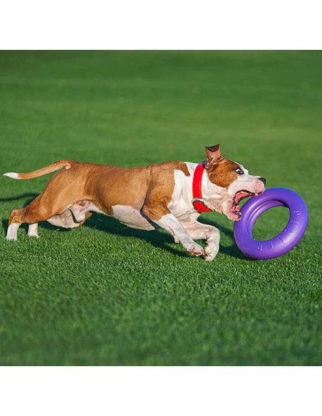 Gioco Set 2 Anelli Puller Maxi. Giochi Per Cani .