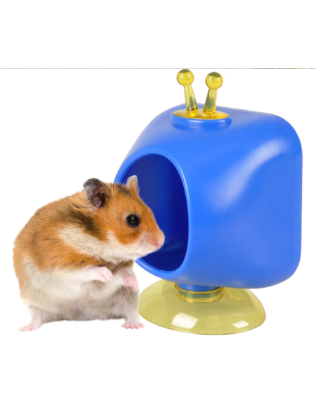 Gioco Bertrand Televisione Azzurro. Giochi per Roditori.