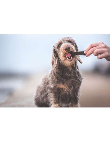 Restomyl Dentalbones Mini gr 350. Snack Per Cani .