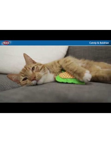 Sacchettino Valeriana. Giochi Per Gatti