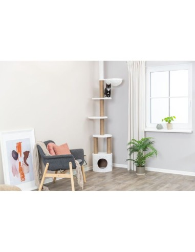 Tiragraffi Aurelio Bianco .Tiragraffi.