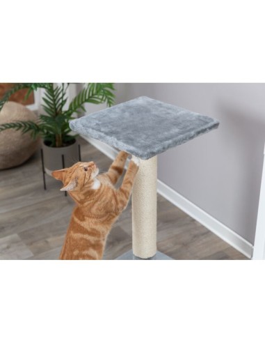 Tiragraffi Baena Grigio Trixie. Tiragraffi.