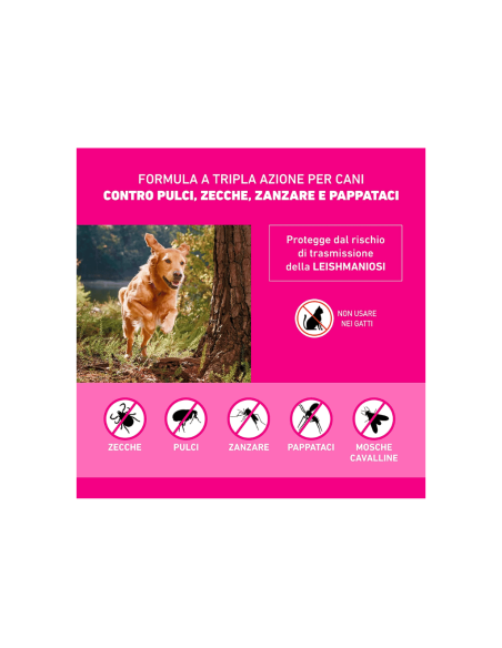 Frontline Tri Act 10-20 kg 6 pipette . Antiparassitario per Cani .