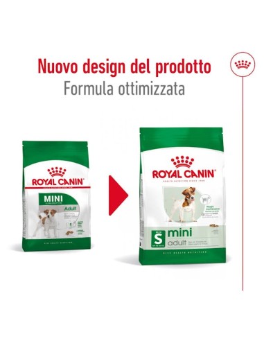 Mini Adult Gr.800 Royal Canin Cibo Secco Per Cani