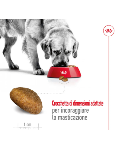 Maxi Adult Kg.4 Royal Canin. Cibo Secco Per Cani.