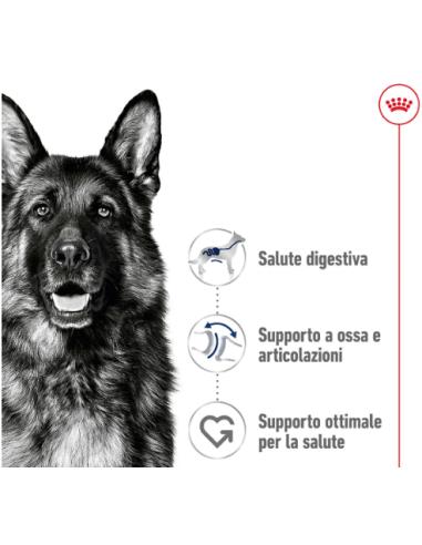 Maxi Adult Kg.4 Royal Canin. Cibo Secco Per Cani.