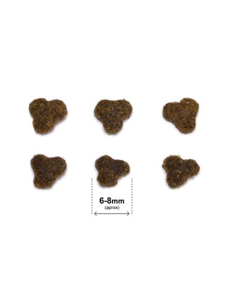 Arquivet Cat Original Adult Salmone kg 1,5. Cibo Per Gatti.