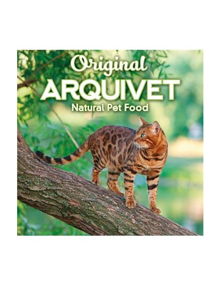 Arquivet Cat Original Kitten Pollo kg 1,5. Cibo Per Cuccioli di Gatto
