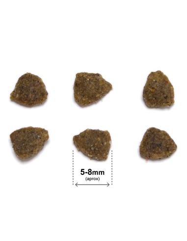 Arquivet Cat Original Kitten Pollo kg 1,5. Cibo Per Cuccioli di Gatto