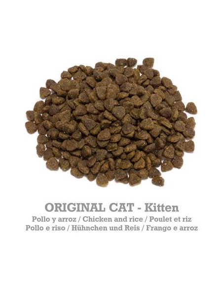 Arquivet Cat Original Kitten Pollo kg 1,5. Cibo Per Cuccioli di Gatto