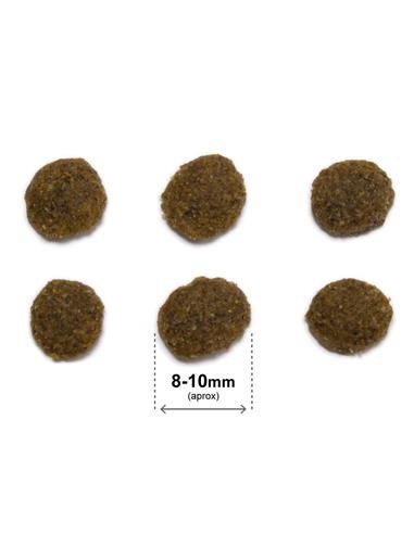 Arquivet Cat Original Sterilizzato Salmone kg 1,5. Cibo Secco per gatti.