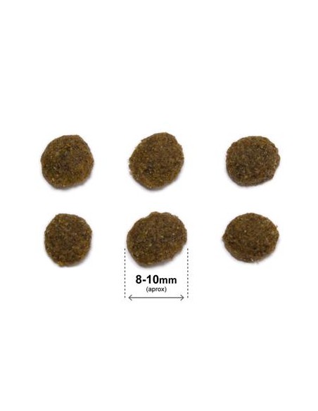 Arquivet Cat Original Sterilizzato Salmone kg 1,5. Cibo Secco per gatti.
