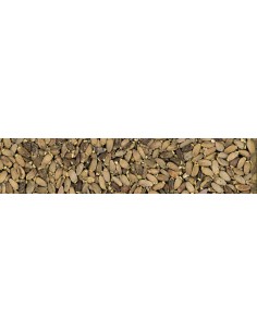 Kardo Mariano kg 1. Mangime Per Uccelli